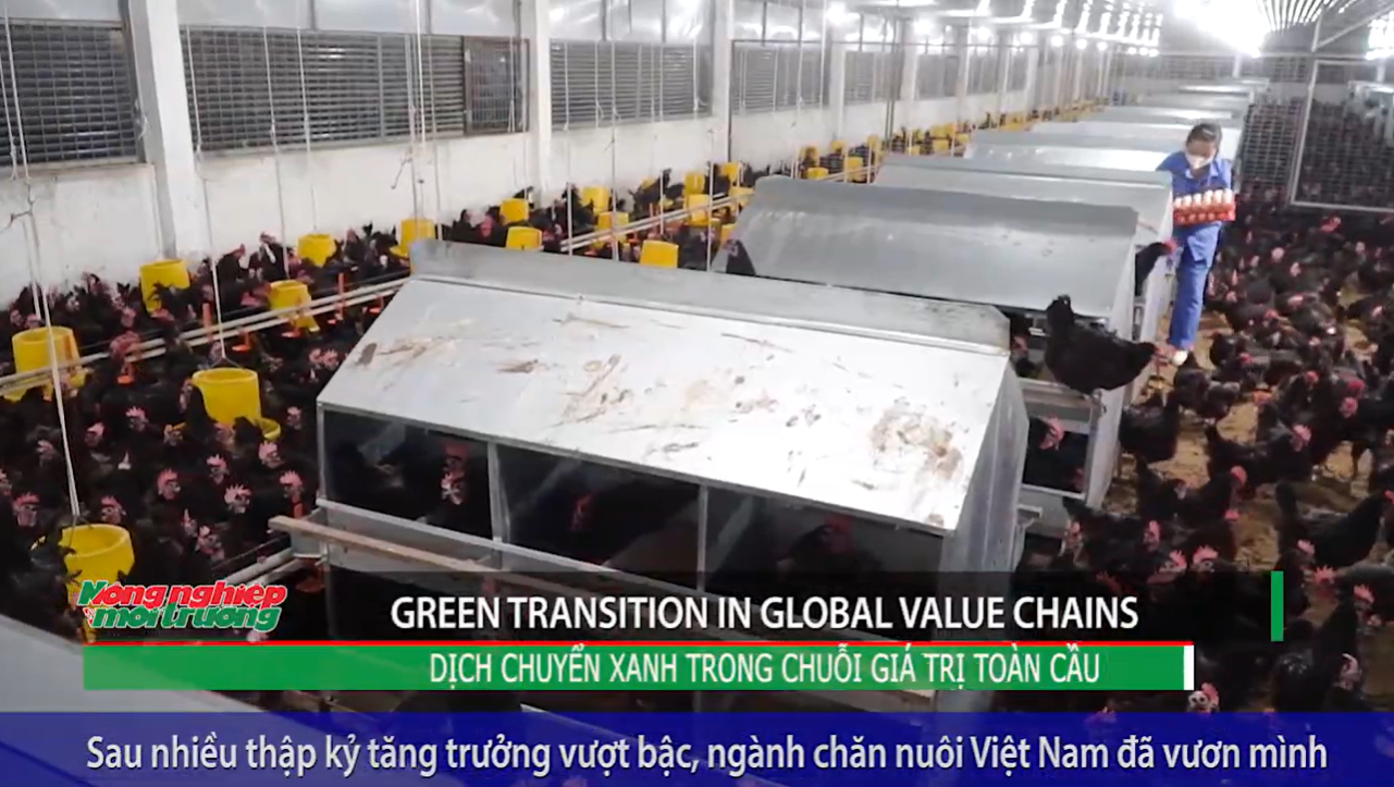 Green transition in global value chain